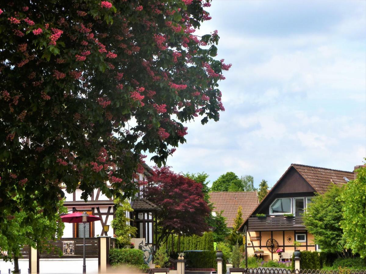 Ferienwohnungen Klosterblick Walkenried Exterior foto